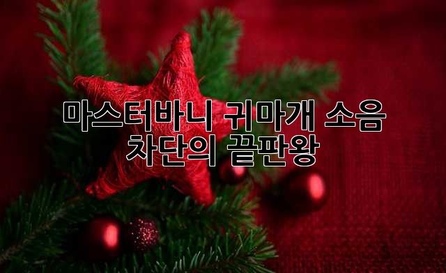 마스터바니 귀마개: 소음 차단의 끝판왕?