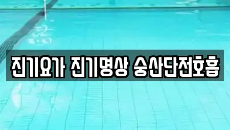 진기요가 진기명상 숭산단전호흡