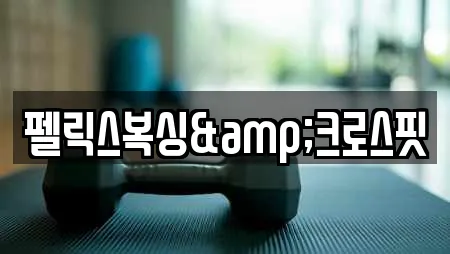 펠릭스복싱&크로스핏