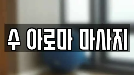 수 아로마 마사지