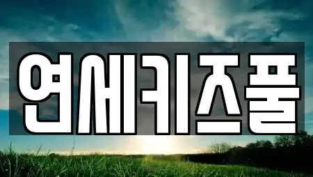 연세키즈풀