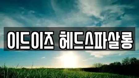 이드이즈 헤드스파살롱