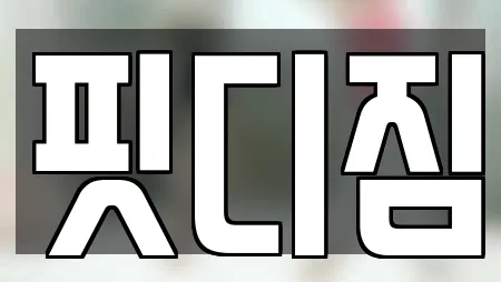 핏디짐