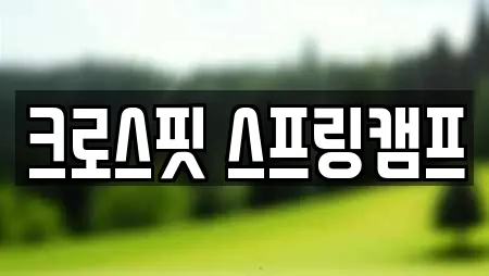 크로스핏 스프링캠프