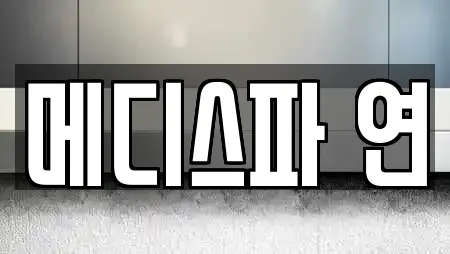 메디스파 연