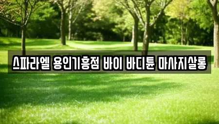스파라엘 용인기흥점 바이 바디튠 마사지살롱