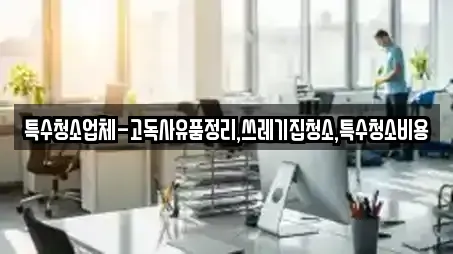 특수청소업체-고독사유품정리,쓰레기집청소,특수청소비용
