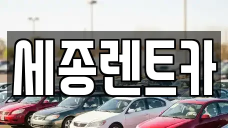 경상남도 마천동 전문 자동차전시장,렌트카,장기렌트카,중고차 업체