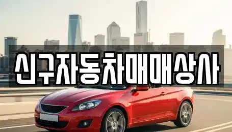 신구자동차매매상사