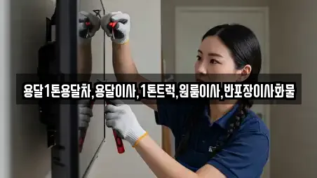 용달1톤용달차,용달이사,1톤트럭,원룸이사,반포장이사화물