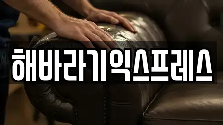해바라기익스프레스