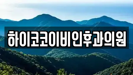 하이코코이비인후과의원