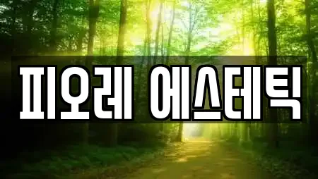 피오레 에스테틱
