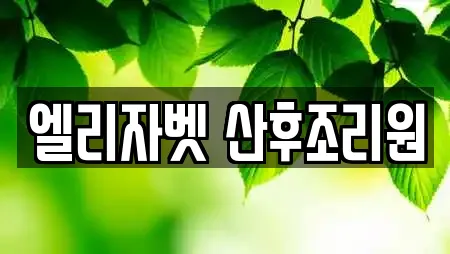 엘리자벳 산후조리원
