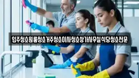 입주청소원룸청소거주청소이사청소상가사무실식당청소전문
