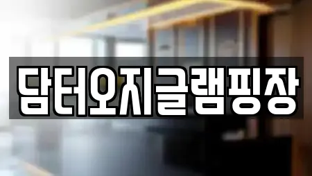 담터오지글램핑장