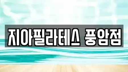 지아필라테스 풍암점