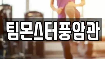 팀몬스터풍암관
