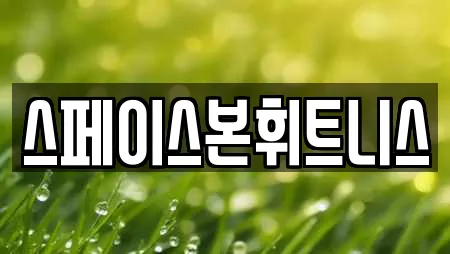 스페이스본휘트니스
