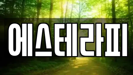 에스테라피