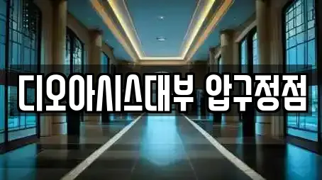 디오아시스대부 압구정점