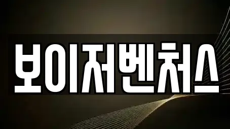 보이저벤처스