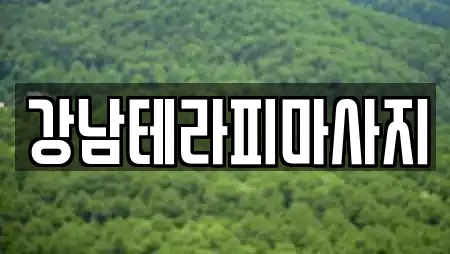 강남테라피마사지