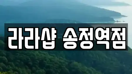 라라샵 송정역점