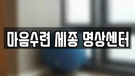 마음수련 세종 명상센터