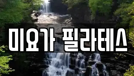 미요가 필라테스
