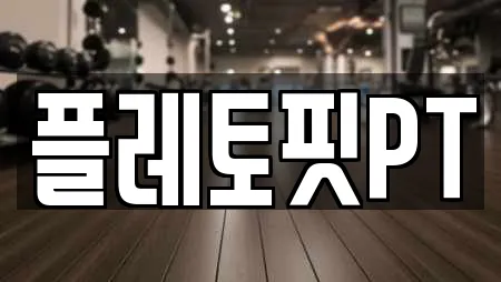 플레토핏PT