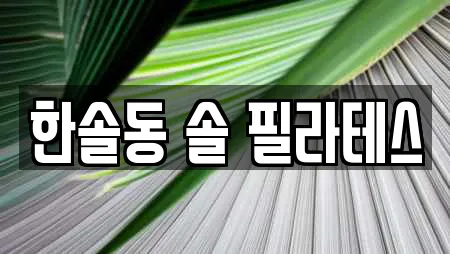 한솔동 솔 필라테스