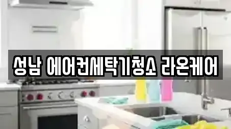 성남 에어컨세탁기청소 라온케어