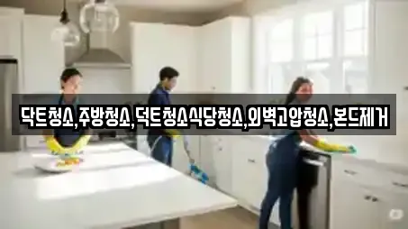 닥트청소,주방청소,덕트청소식당청소,외벽고압청소,본드제거