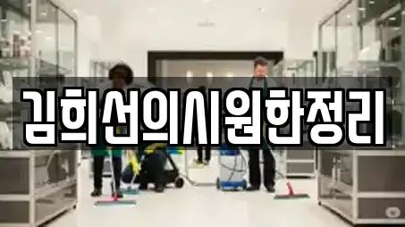 김희선의시원한정리