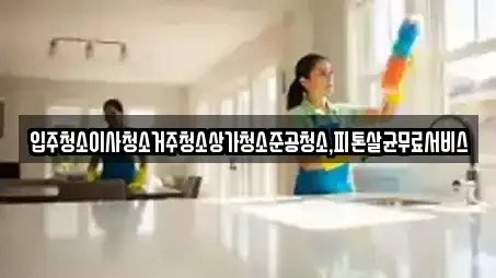 입주청소이사청소거주청소상가청소준공청소,피톤살균무료서비스