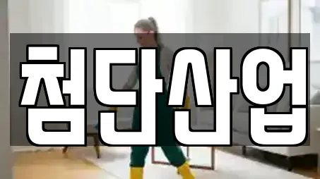 첨단산업