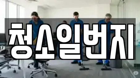 청소일번지