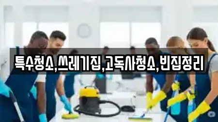 특수청소,쓰레기집,고독사청소,빈집정리