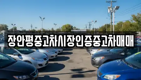 장안평중고차시장인증중고차매매