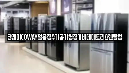 전남 북이면 추천 공기청정기렌탈,정수기렌탈,비데렌탈,복합기렌탈,가전제품렌탈 검색
