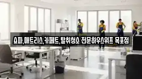 쇼파,매트리스,카페트,탈취청소 전문하우스위프 목포점