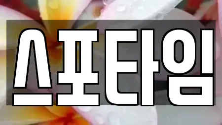 스포타임