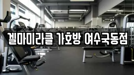 겔마미라클 가호방 여수국동점