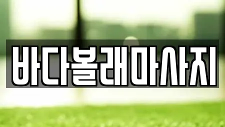바다볼래마사지