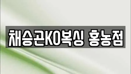 채승곤KO복싱 홍농점