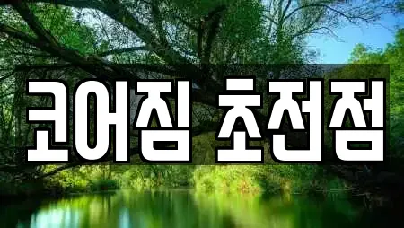 코어짐 초전점
