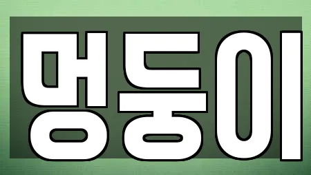 멍둥이