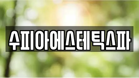 수피아에스테틱스파