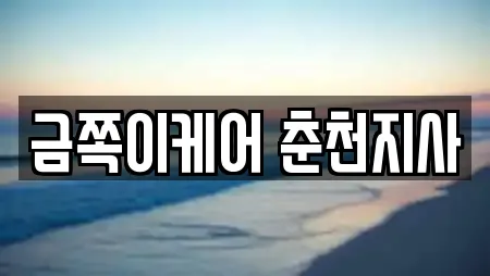 금쪽이케어 춘천지사